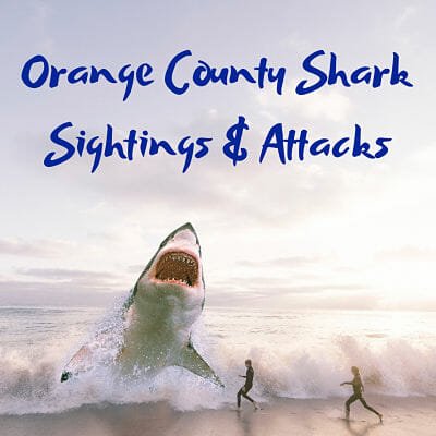 Orange County Shark Sightings & Attacks