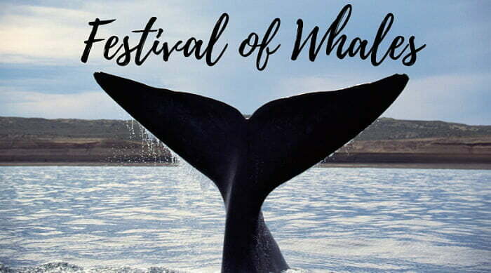 Dana Point Festival of Whales