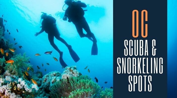 OC Scuba & Snorkeling Spots