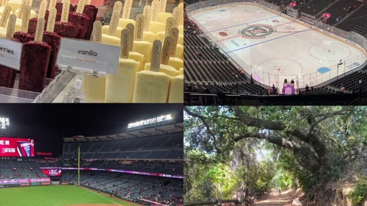 Things To Do In Anaheim