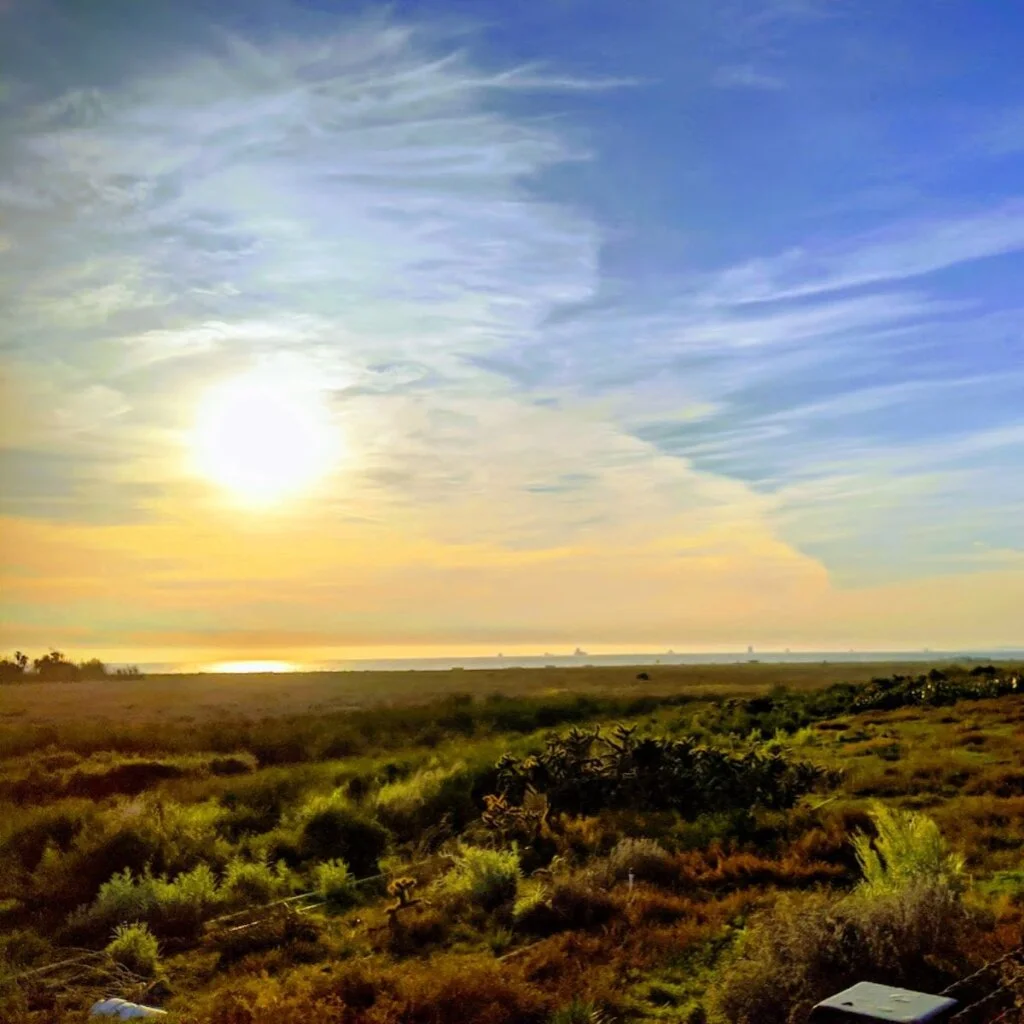 Bolsa Chica Ecological Reserve Huntington Beach