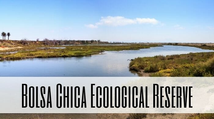 Bolsa Chica Ecological Reserve