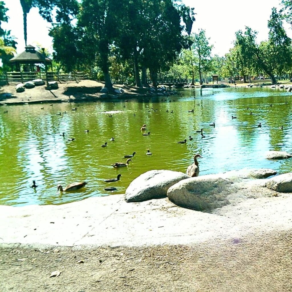 Mile Square Park Fountain Valley