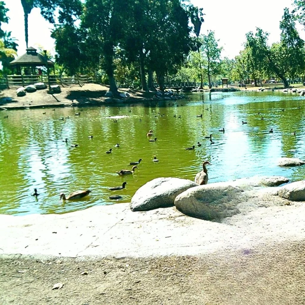 Mile Square Park Fountain Valley