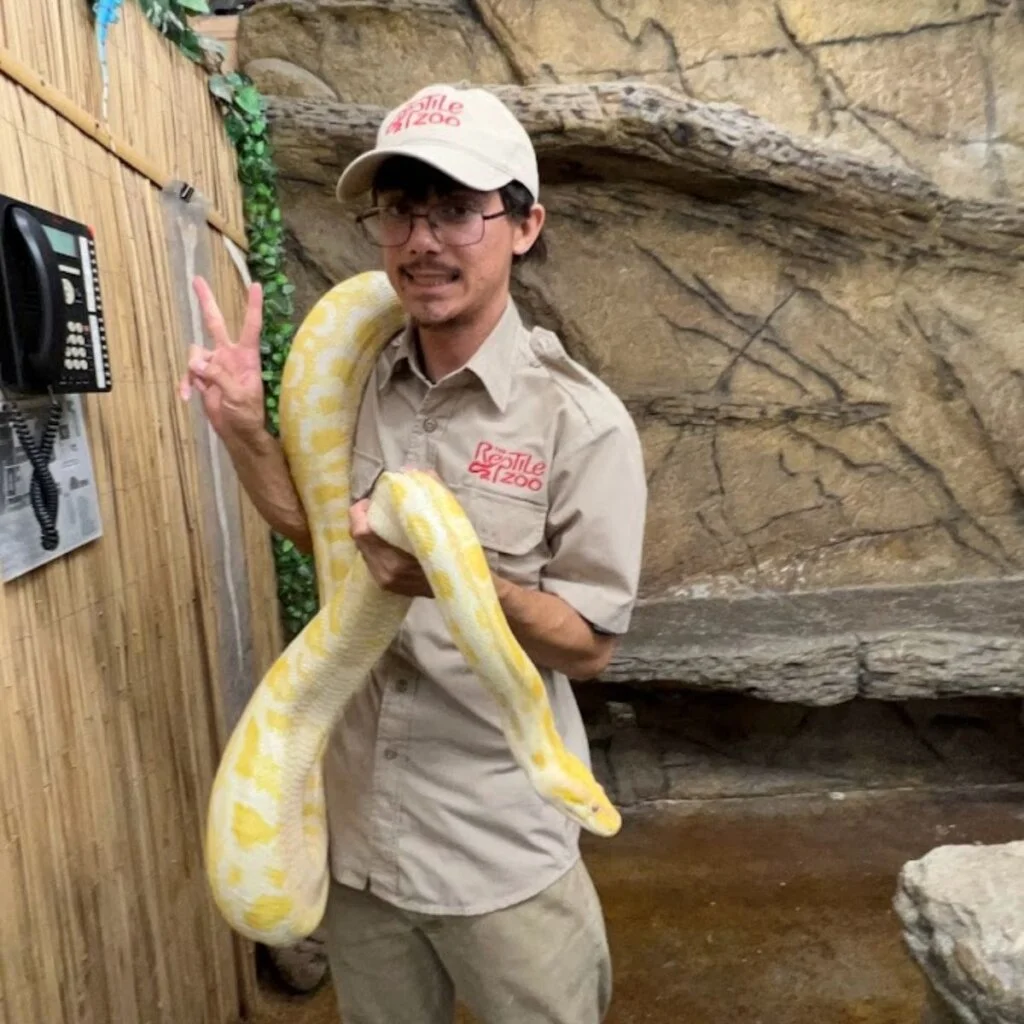 The Reptile Zoo