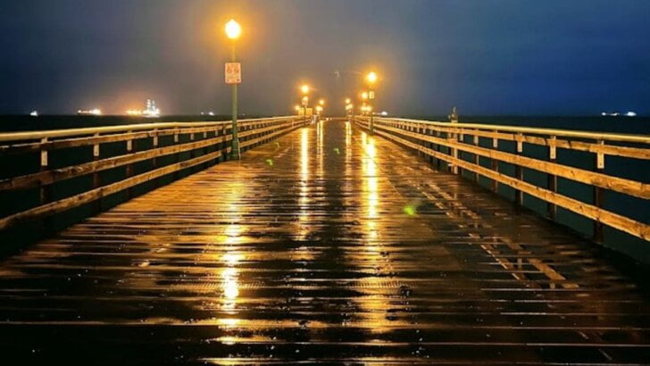 Things To Do In Seal Beach