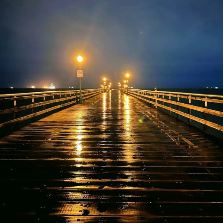 Things To Do In Seal Beach