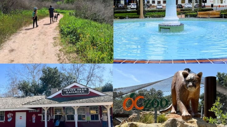 Fun Things To Do In Orange