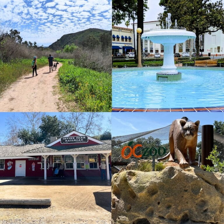 Fun Things To Do In Orange