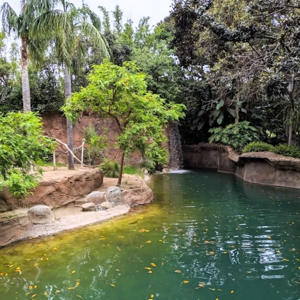 Santa Ana Zoo