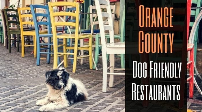 Dog Friendly Restaurants In Orange County