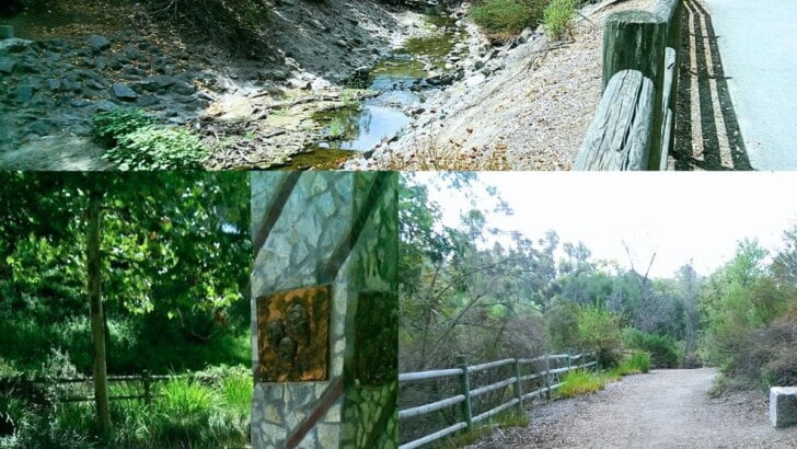 Things To Do In Mission Viejo