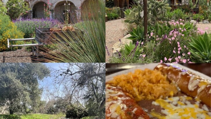 Things To Do In San Juan Capistrano