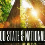 Redwood State & National Parks