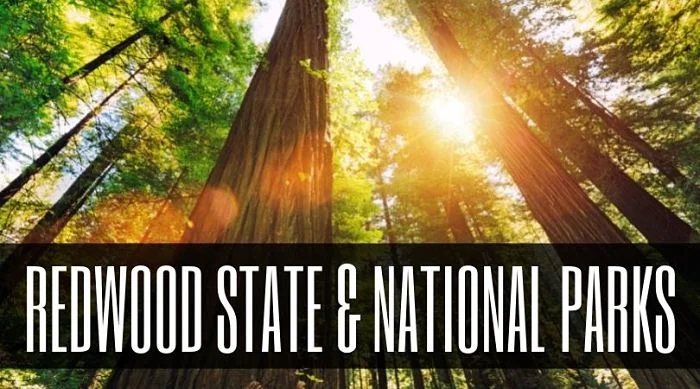 Redwood State & National Parks