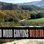 Aliso And Wood Canyons Wilderness Park