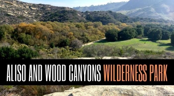 Aliso And Wood Canyons Wilderness Park