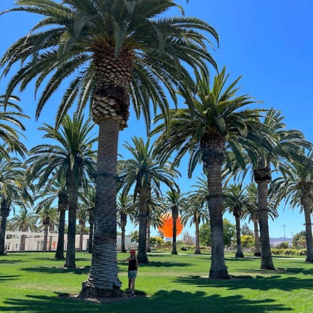 picnic spot at irvine great park