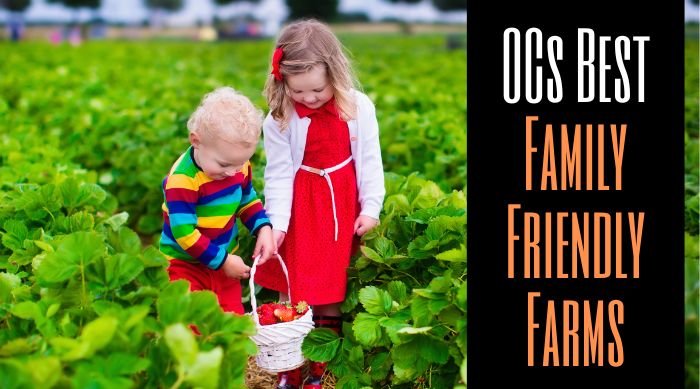 Best Family Friendly Farms