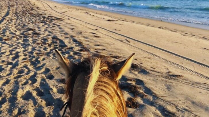 Horseback Riding On The Beach In California