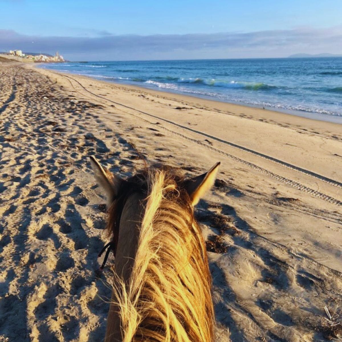 Horseback Riding On The Beach In California