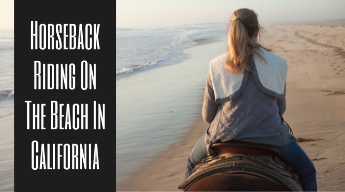 Horseback Riding On The Beach in California