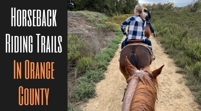 Horseback Riding Trails In Orange County