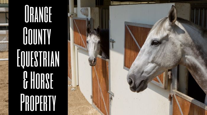 OC Equestrian & Horse Property