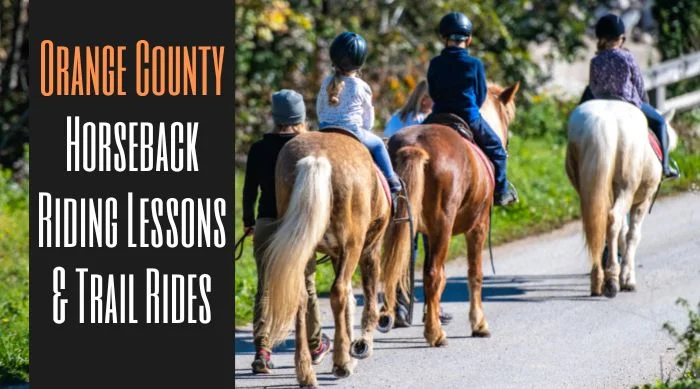 Orange County Horseback Riding Lessons and Trail Rides