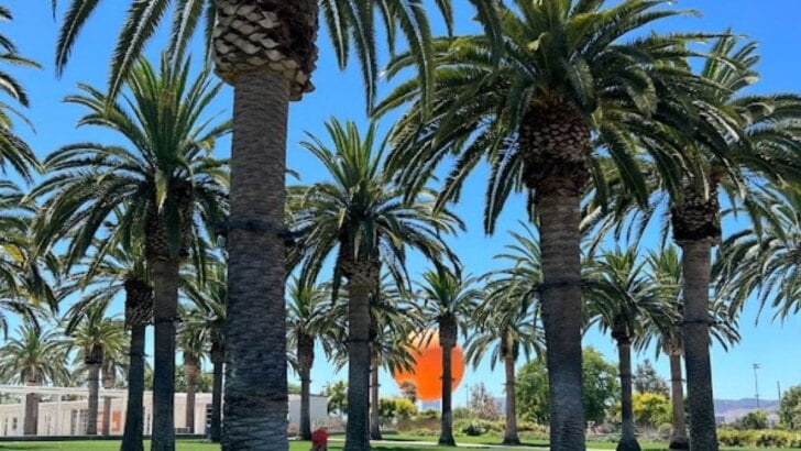 Things To Do In Irvine