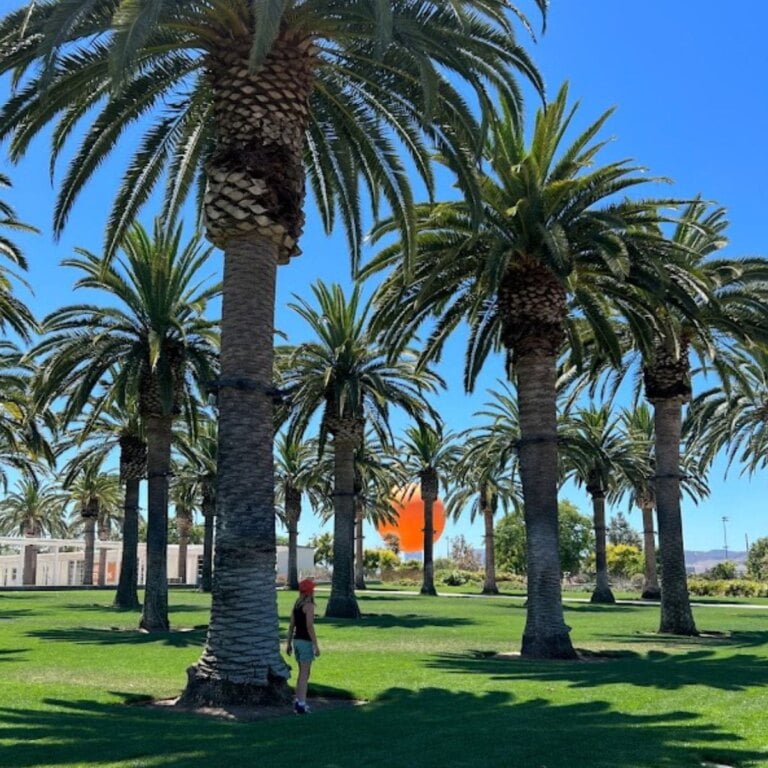 Things To Do In Irvine