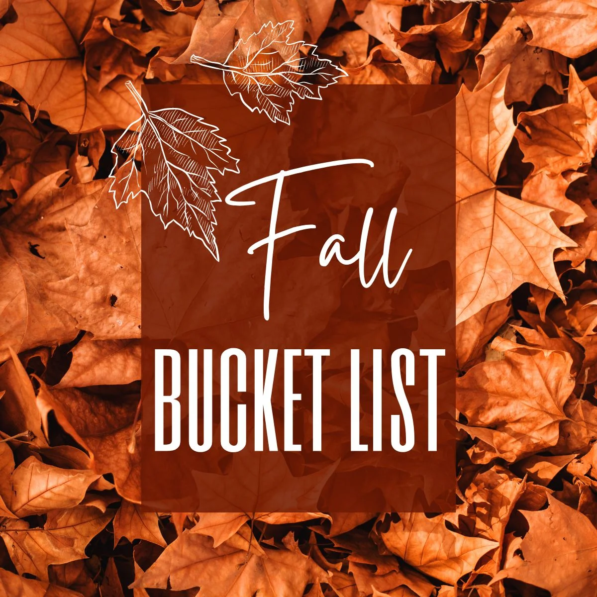 Fall Bucket List Ideas
