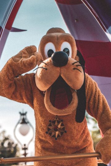 Hotels In Anaheim Near Disneyland