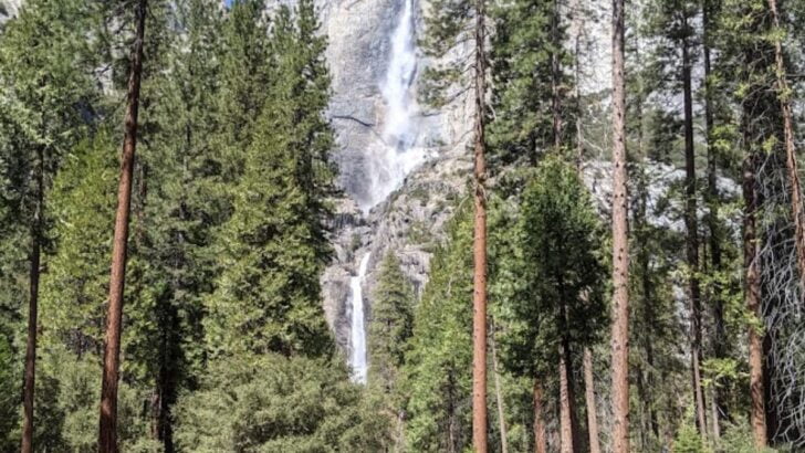 Free National Park Days