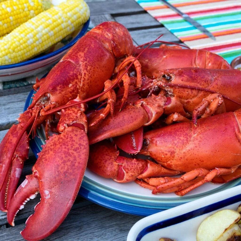Lobsterfest Newport Beach