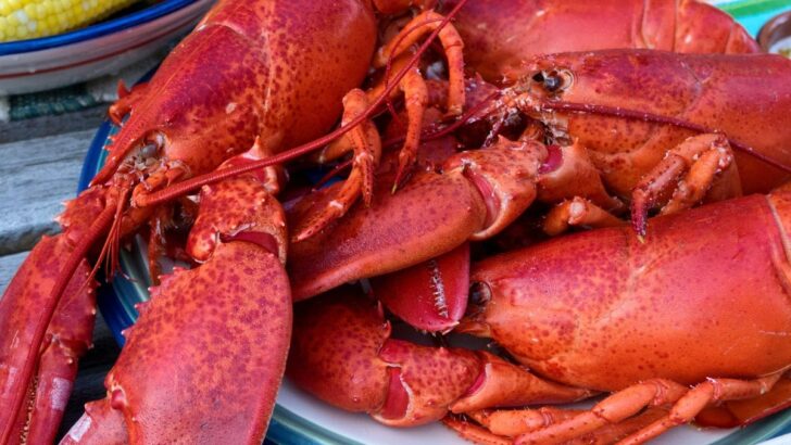 Lobsterfest Newport Beach