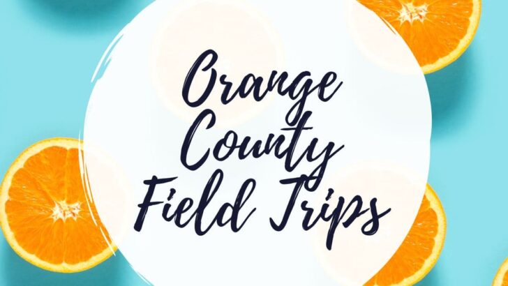 Orange County Field Trips Guide