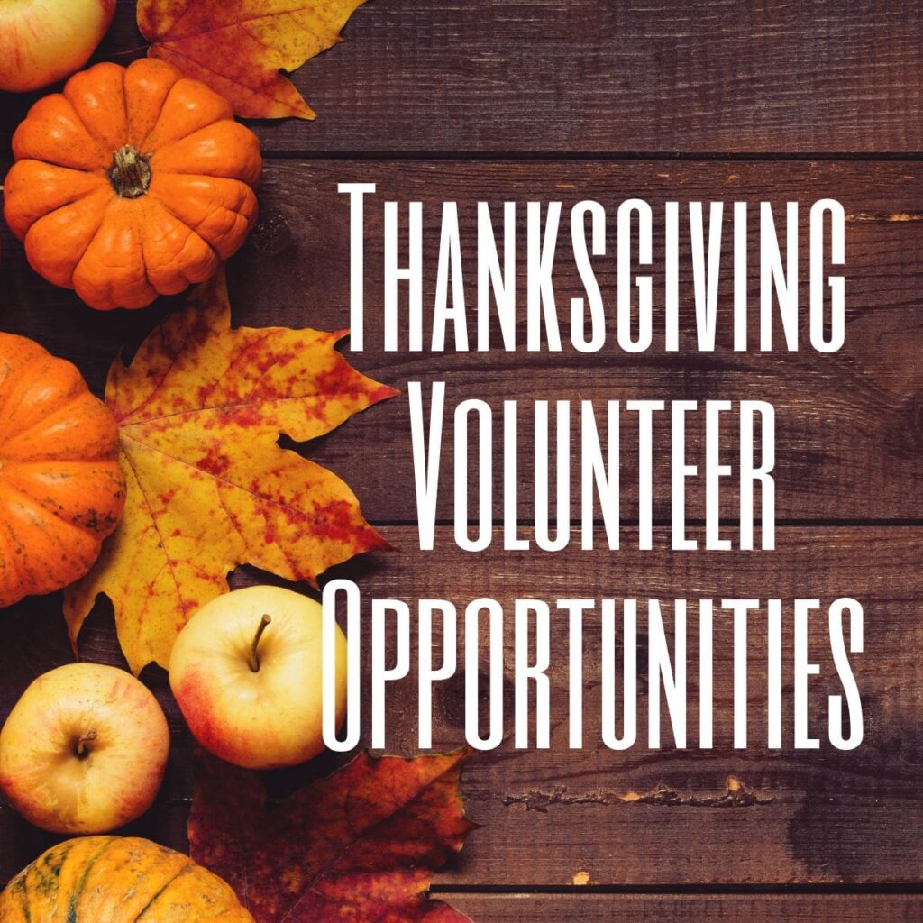 Thanksgiving Volunteer Opportunities OC