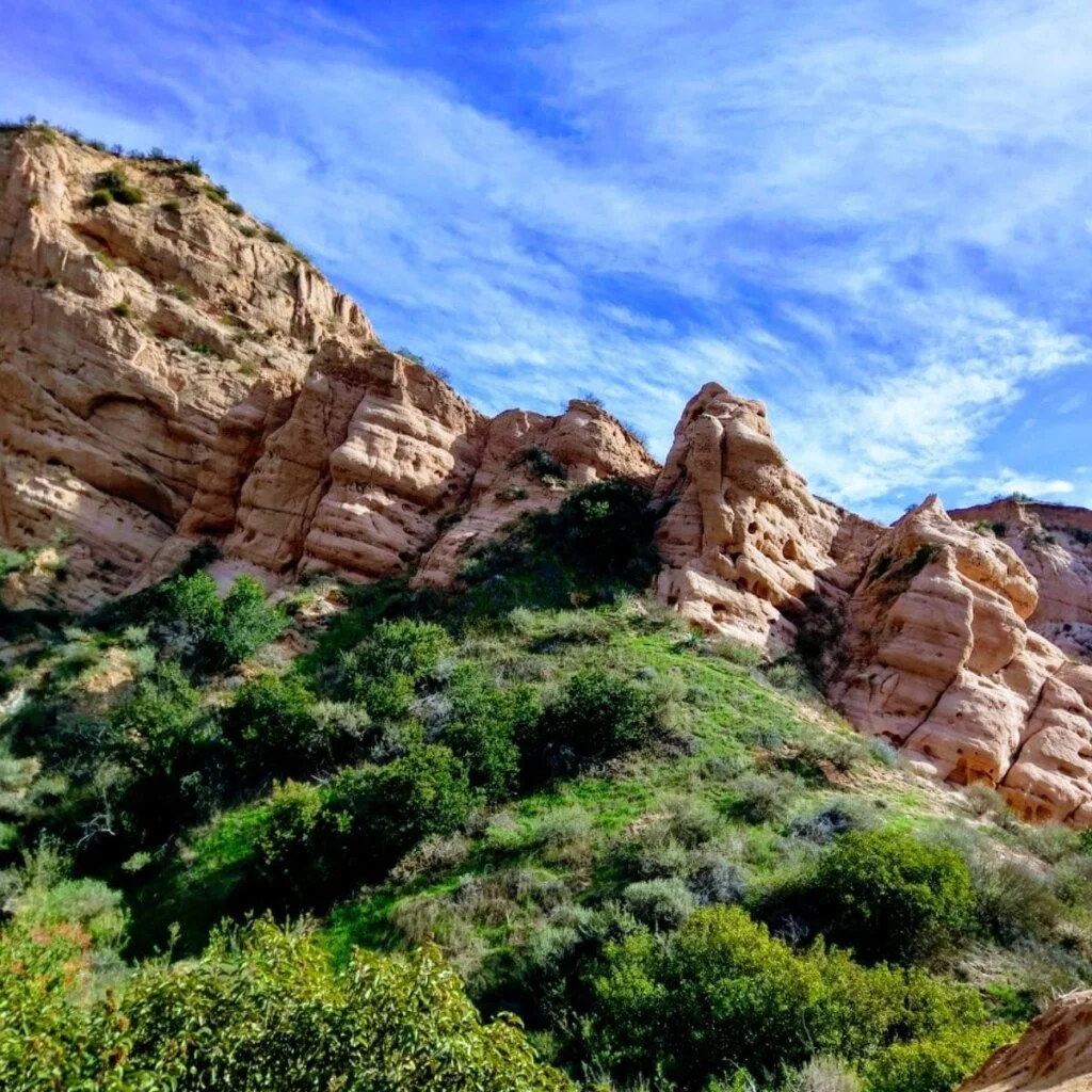 Whitten Road Trail