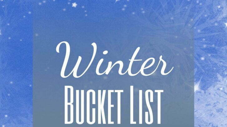 Winter Activities