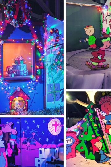 Costa Mesa Snoopy House