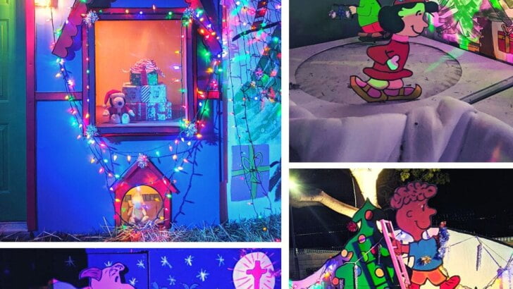 Costa Mesa Snoopy House