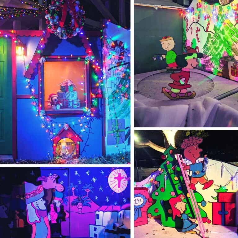 Costa Mesa Snoopy House