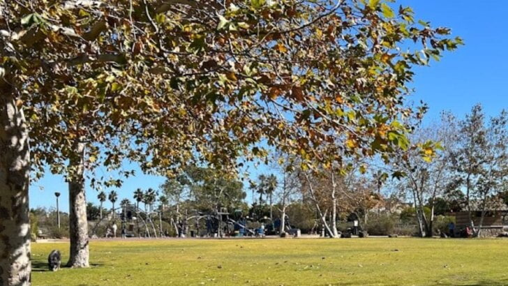 Harriett M. Wieder Regional Park