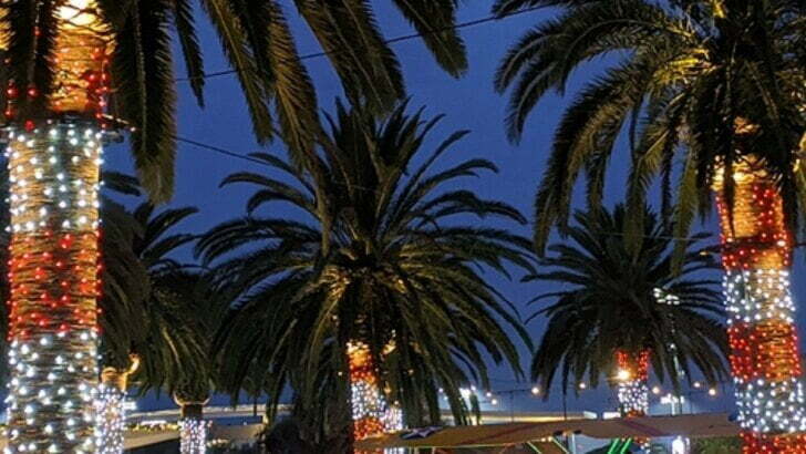 OC Great Park: Holidayz At The Park