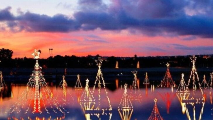 Newport Dunes Lighting Of The Bay