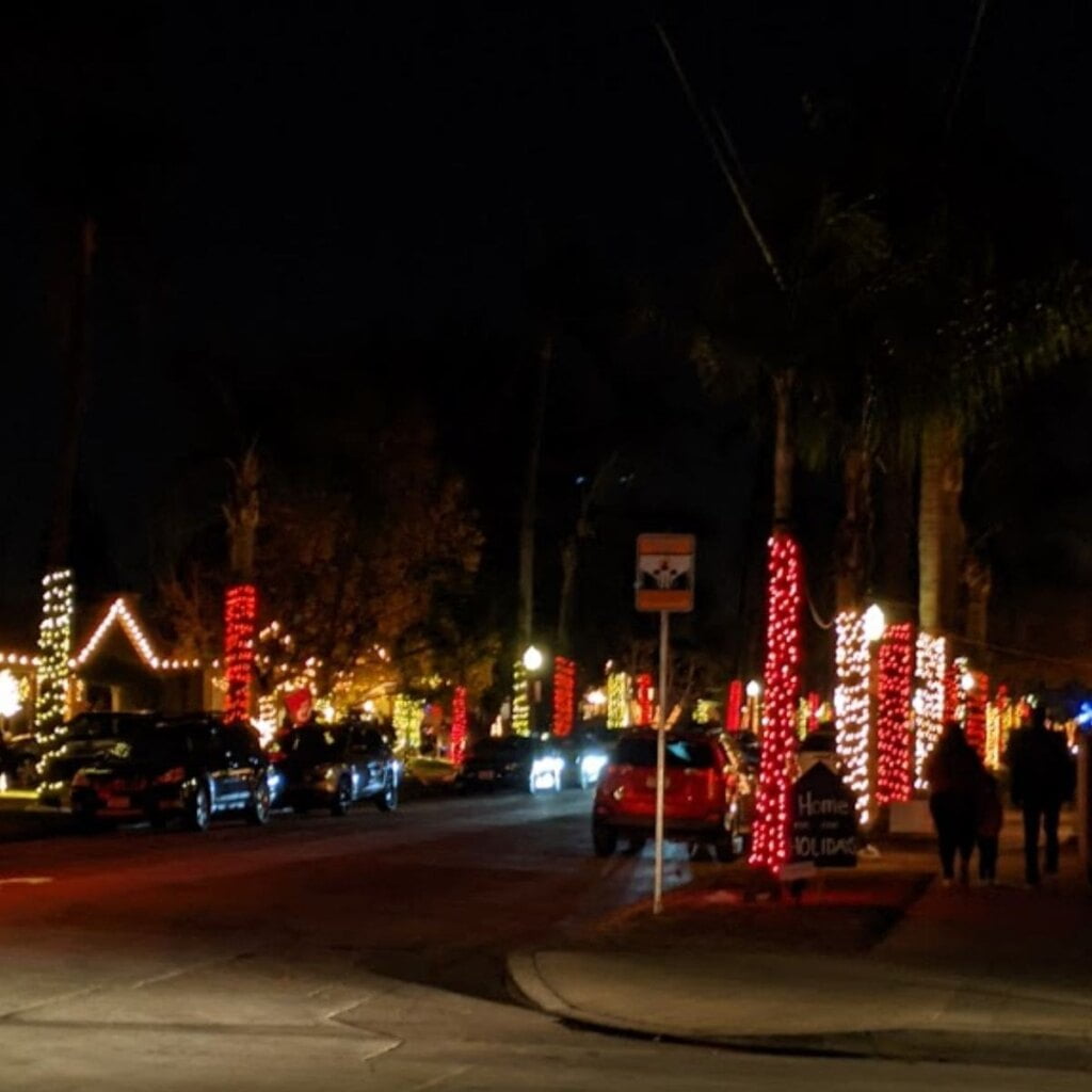Pine Street Christmas Lights