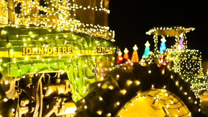 Tanaka Farms: Hikari - Festival of Lights