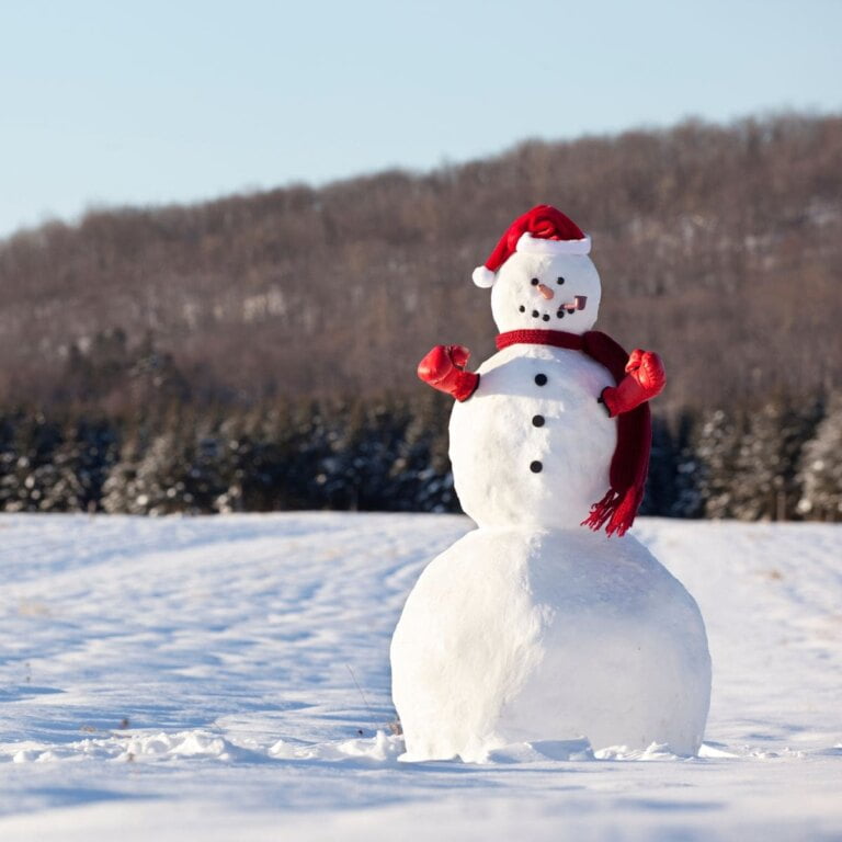 Best Places To Play In The Snow in Southern California