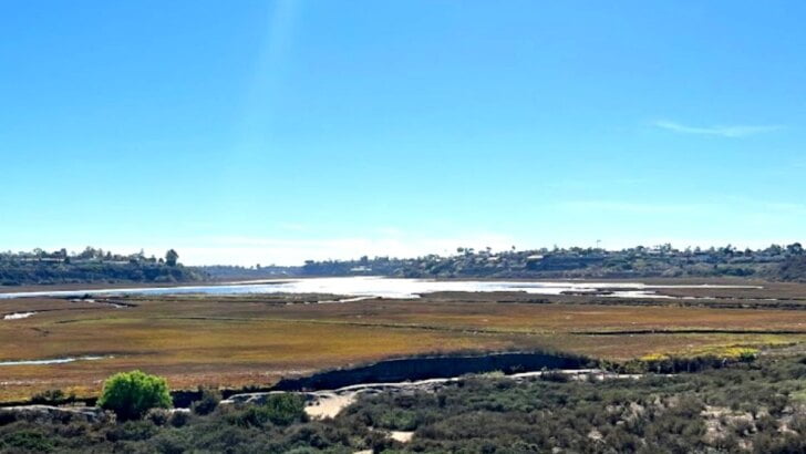 Upper Newport Bay Nature Preserve